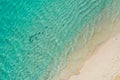 Aerial top down view of black tip sharks together in symbiosis with blue tuna swimming and hunting for a small fish Royalty Free Stock Photo