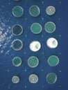 Aerial top down view at the circle shaped nets at a fish farm Royalty Free Stock Photo