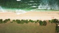 Aerial top-down view of a family with a dog walking along the beach by the ocean Royalty Free Stock Photo