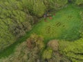 Aerial top down view on a glade in a park with tent, concept outdoor activity tourism