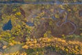 Aerial top down view of golden yellow autumn forest and water lakes wetland Royalty Free Stock Photo