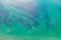 Aerial top down view photo of azure blue ocean waves showing beautiful bright and deep blue color from sea reef shallow water near Royalty Free Stock Photo