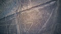 Aerial top down view on `the Spider` one of the Nazca lines Royalty Free Stock Photo