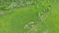 Aerial top down view of T-shaped crossroad of field dirt road with grassland and flowering trees around.