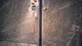 Aerial top down view on `the Tree` and `Lizard` of the Nazca lines known as an UNESCO World Heritage Site.