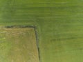 Aerial top down view of two agricultural fields with different colors and tractor tracks Royalty Free Stock Photo