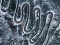 Aerial top down view of winter winding road in the forest, Transylvania, Romania. Royalty Free Stock Photo