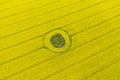 Aerial top down view on yellow field of blooming rapeseed with soil spot in the middle and tractor tracks Royalty Free Stock Photo