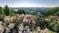 Aerial top view of Kiev city and botanical garden park from above, blossoming lilac and Kyiv cityscape, Ukraine Royalty Free Stock Photo