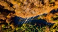 Aerial top drone view of winding forest road