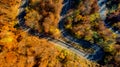 Aerial top drone view of winding forest road in the mountains Royalty Free Stock Photo