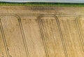 Aerial top shot of an agricultural field in Leeds West Yorkshire with tractor marks