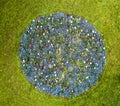 Aerial top view from above on colorful flowerbed circle