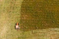 Aerial top view agriculture, tractor removes mowing green grass field Royalty Free Stock Photo