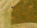 Aerial top view agriculture, tractor removes mowing green grass field Royalty Free Stock Photo