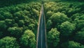 Aerial top view of asphalt road through green forest, healthy rain forest, environment, health, green economy, view of nature