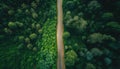 Aerial top view of asphalt road through green forest, healthy rain forest, environment, health, green economy, view of nature