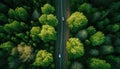 Aerial top view of asphalt road through green forest, healthy rain forest, environment, health, green economy, view of nature