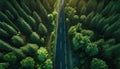 Aerial top view of asphalt road through green forest, healthy rain forest, environment, health, green economy, view of nature