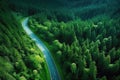 Aerial top view of asphalt road through green forest, healthy rain forest, environment, health, green economy, view of nature