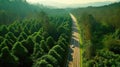 Aerial top view of asphalt road through green forest, healthy rain forest, environment, health, green economy, view of nature