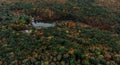 Aerial top view. Autumn landscape. Lake in autumn forest