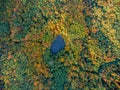 Aerial top view. Autumn landscape. Wild forest lake.