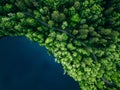 Aerial top view of country road in green summer forest and blue lake. Rural landscape in Finland Royalty Free Stock Photo