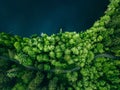 Aerial top view of country road in green summer forest and blue lake. Rural landscape in Finland Royalty Free Stock Photo