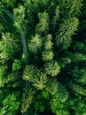 Aerial top view of country road in green summer forest. Rural landscape in Finland Royalty Free Stock Photo