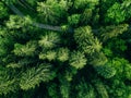 Aerial top view of country road in green summer forest. Rural landscape in Finland Royalty Free Stock Photo
