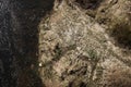 Aerial top view, countryside spring panorama of small quiet river on sunny day