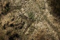 Aerial top view, countryside spring panorama of small quiet river on sunny day