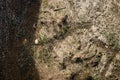 Aerial top view, countryside spring panorama of small quiet river on sunny day