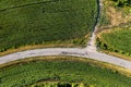Aerial top view of curve country road among green fields in summer day Royalty Free Stock Photo
