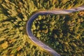 Aerial top view of curvy mountain road road going through the pine forest