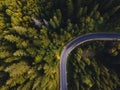 Aerial top view of curvy mountain road goingthroughthe pine forest Royalty Free Stock Photo