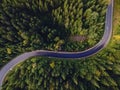 Aerial top view of curvy mountain road goingthroughthe pine forest Royalty Free Stock Photo