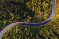 Aerial top view of curvy mountain road goingthroughthe pine forest Royalty Free Stock Photo