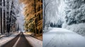 Aerial top view Curvy road in snow covered forest in winter