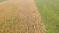 Aerial top view of a different agriculture fields in countryside on a spring day. Royalty Free Stock Photo