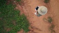 AERIAL. Top view directly above a asian female farmer in the hat monitoring his farm with a tablet. Palms farm in