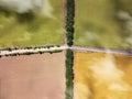 Aerial top view from drone above crossed roads on agricultural fields. Royalty Free Stock Photo