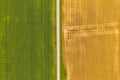 Aerial top view drone photography of a land with sown green fields in countryside Royalty Free Stock Photo