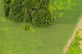 Aerial top view drone photography of a land with sown green fields in countryside Royalty Free Stock Photo