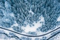 Aerial top view drone shot of the pine and spruce trees forest covered with snow in the Tatra Mountains in Slovakia with a