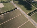 Aerial top view from drone to vineyard Royalty Free Stock Photo