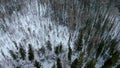 Aerial top view of evergreen snow covered pines and spruces in coniferous forest Royalty Free Stock Photo