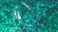 Aerial top view of family snorkeling from above, mother and kids snorkelers swimming in a clear tropical sea water with corals Royalty Free Stock Photo