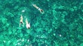 Aerial top view of family snorkeling from above, mother and kids snorkelers swimming in a clear tropical sea water, Thailand Royalty Free Stock Photo